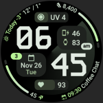 Pioneer Watch Face