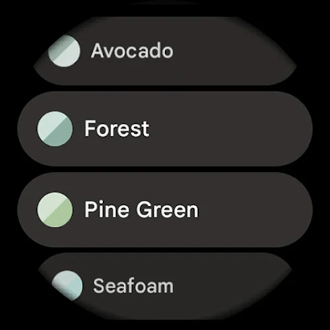 Summit Watch Face screenshot