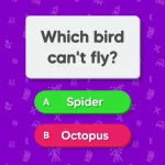 Trivia Master – Quiz Games