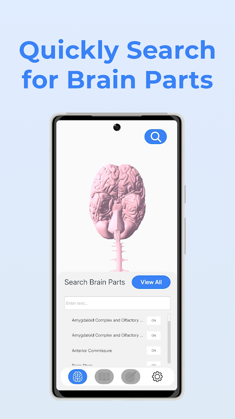Neuroanatomy – 3D Brain screenshot