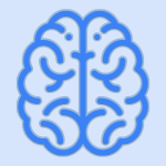 Neuroanatomy – 3D Brain