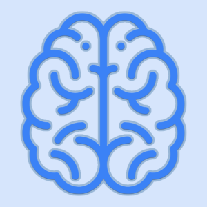 Neuroanatomy – 3D Brain