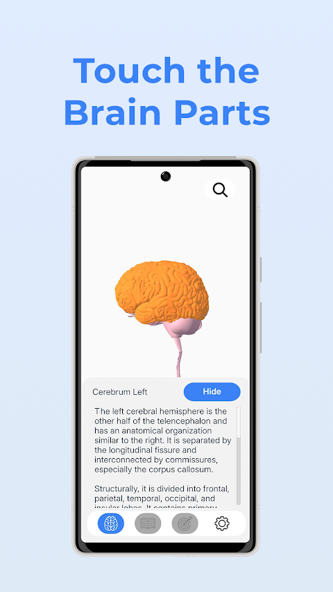 Neuroanatomy – 3D Brain screenshot