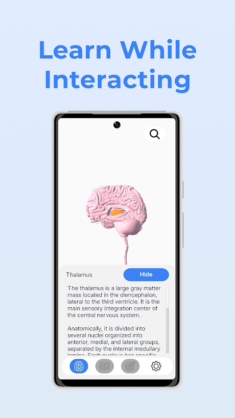 Neuroanatomy – 3D Brain screenshot