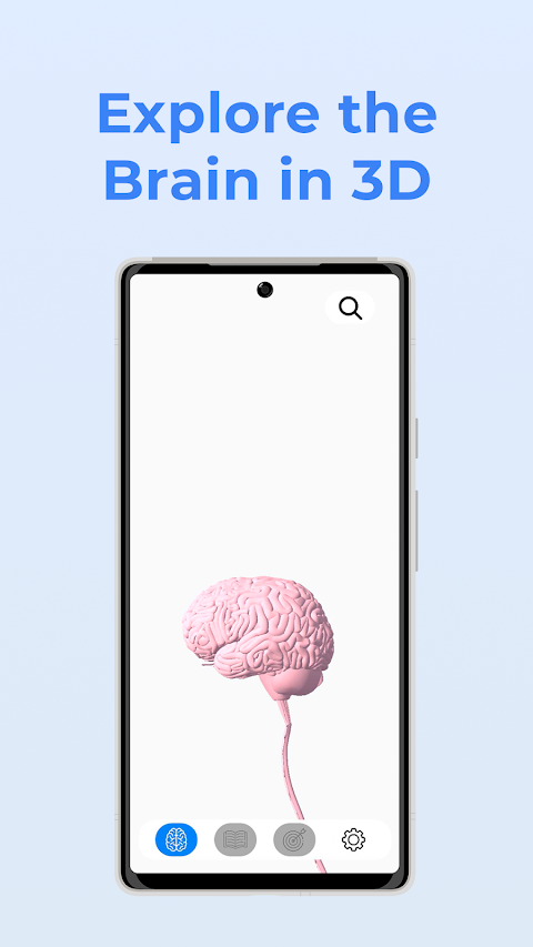 Neuroanatomy – 3D Brain screenshot