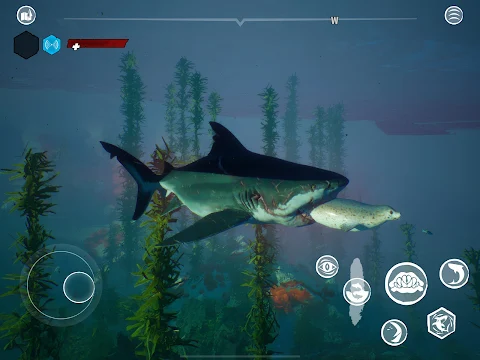 Maneater – Shark RPG screenshot