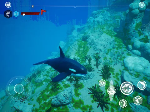 Maneater – Shark RPG screenshot