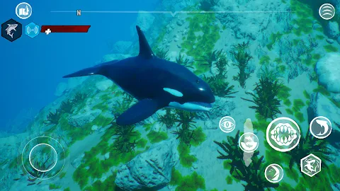 Maneater – Shark RPG screenshot
