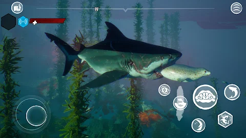 Maneater – Shark RPG screenshot