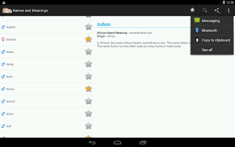 Names and Meanings screenshot