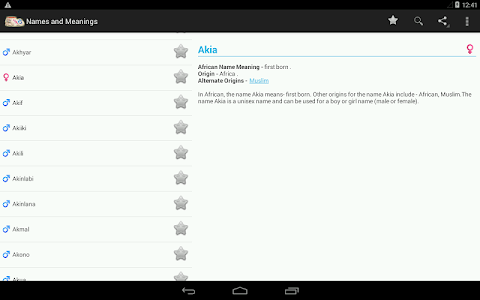 Names and Meanings screenshot