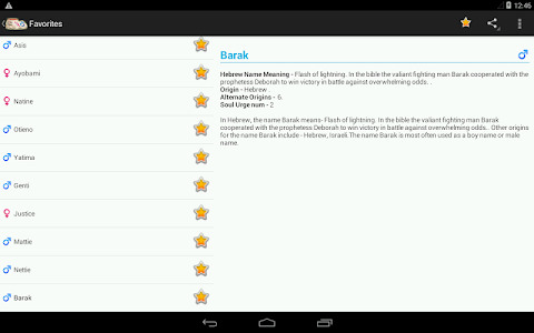 Names and Meanings screenshot