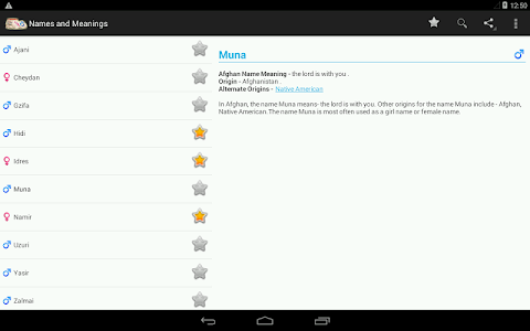 Names and Meanings screenshot