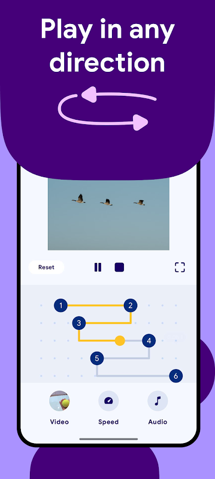 Reverse Video screenshot