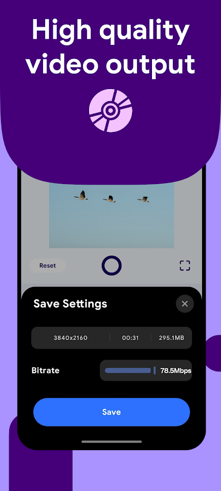 Reverse Video screenshot