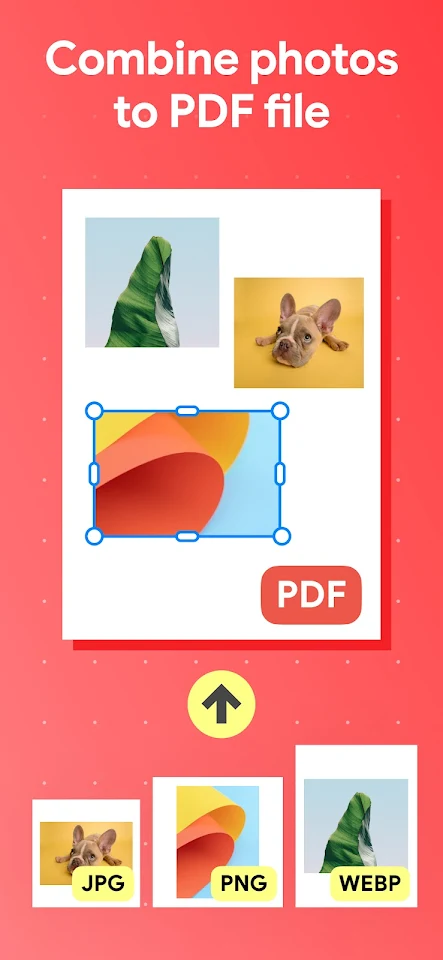 Image to PDF – PNG to PDF screenshot