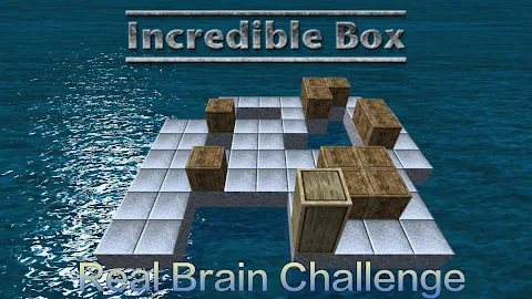 Incredible Box – RollingPuzzle screenshot