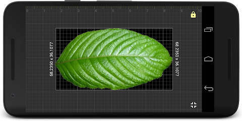 Millimeter Pro – screen ruler screenshot