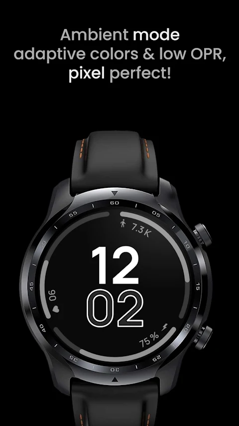 Fit TWO Watch Face screenshot