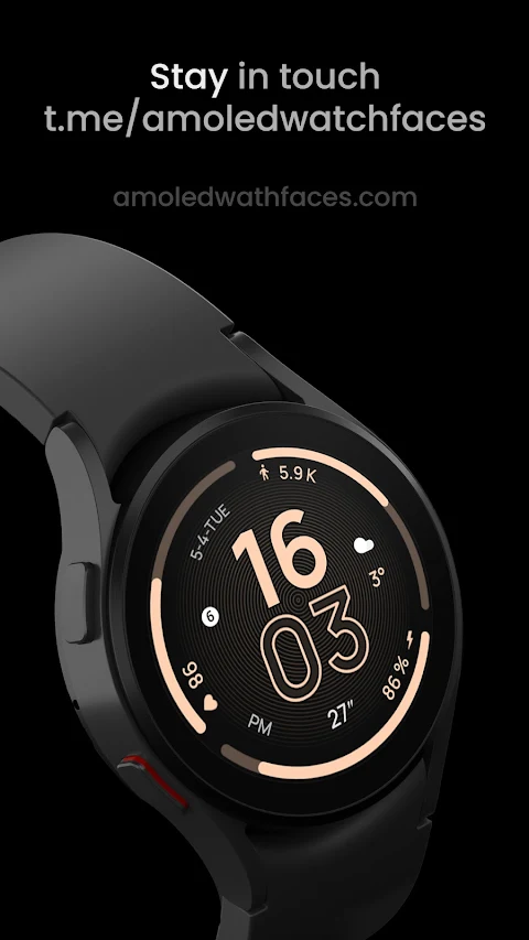 Fit TWO Watch Face screenshot
