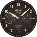 CELEST1740 Analog Watch
