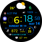 Digital Weather Sport NTV318