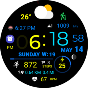 Digital Weather Sport NTV318