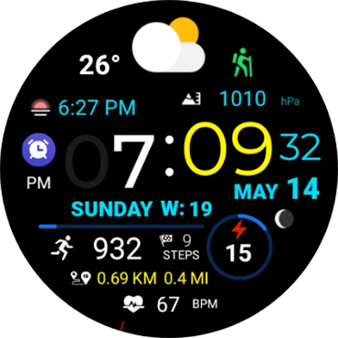 Digital Weather Sport NTV318 screenshot