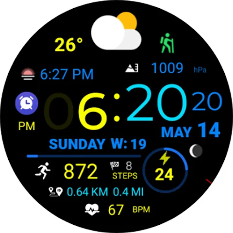 Digital Weather Sport NTV318 screenshot