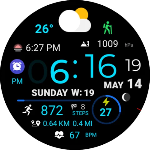 Digital Weather Sport NTV318 screenshot