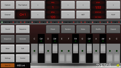2XB303 Acid Bass Loop Maker screenshot