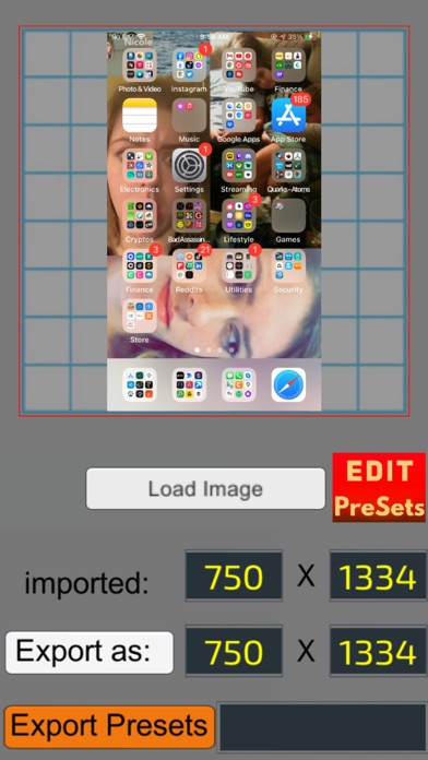 Pixel Resizer: Custom Metadata screenshot