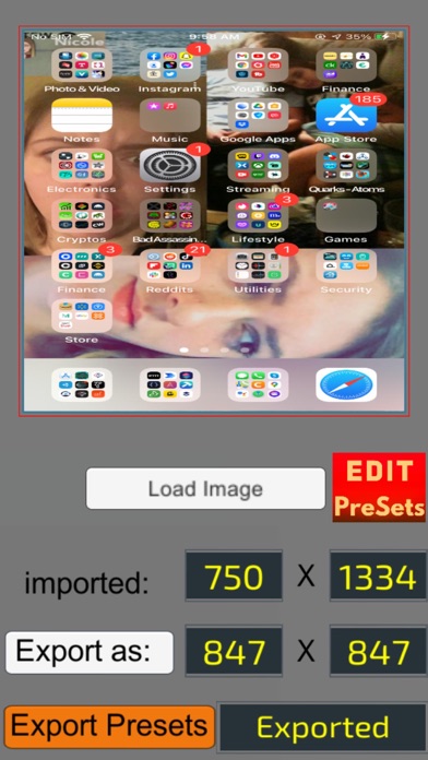 Pixel Resizer: Custom Metadata screenshot