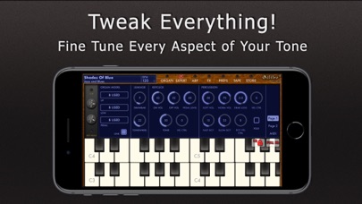 Galileo Organ 2 screenshot