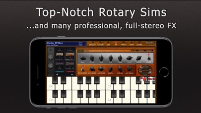 Galileo Organ 2 screenshot