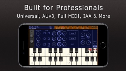 Galileo Organ 2 screenshot