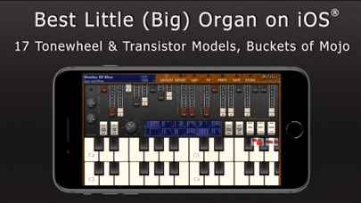 Galileo Organ 2 screenshot