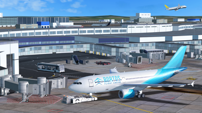 RFS – Real Flight Simulator screenshot