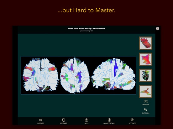 Anatomy Puzzles screenshot