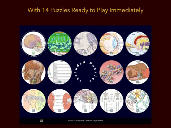 Anatomy Puzzles screenshot