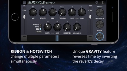 Blackhole Reverb screenshot