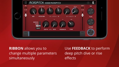 MicroPitch screenshot