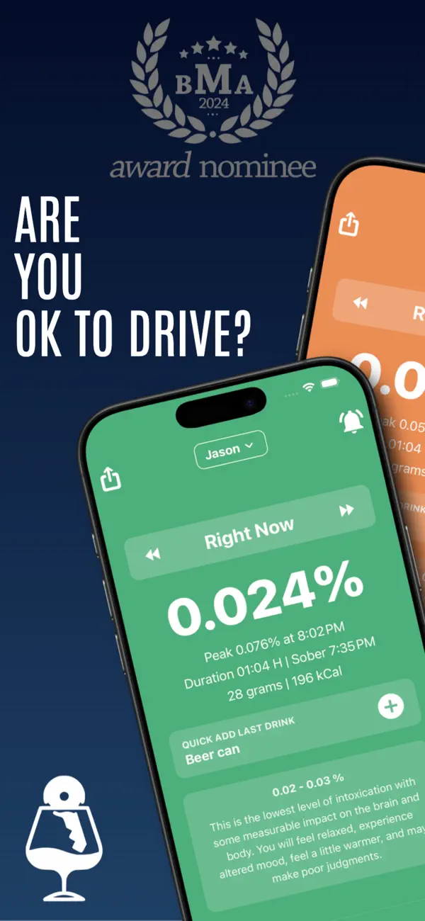 Ok To Drive screenshot