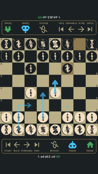 Two Player Chess (2P Chess) screenshot