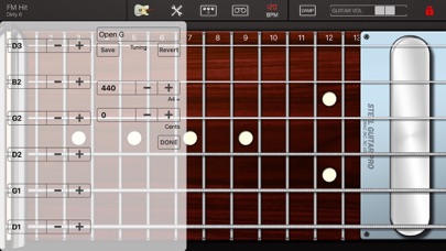 Steel Guitar PRO screenshot