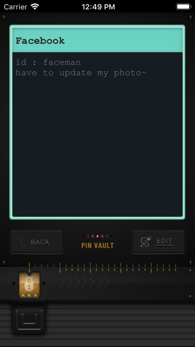 PIN VAULT – Secure Passwords screenshot