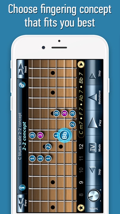 Bluesman Guitar Scales screenshot