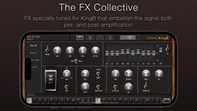 KingB Organ screenshot