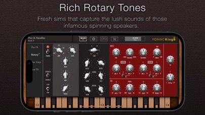 KingB Organ screenshot