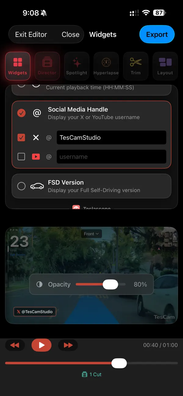 TesCam Studio for Tesla screenshot